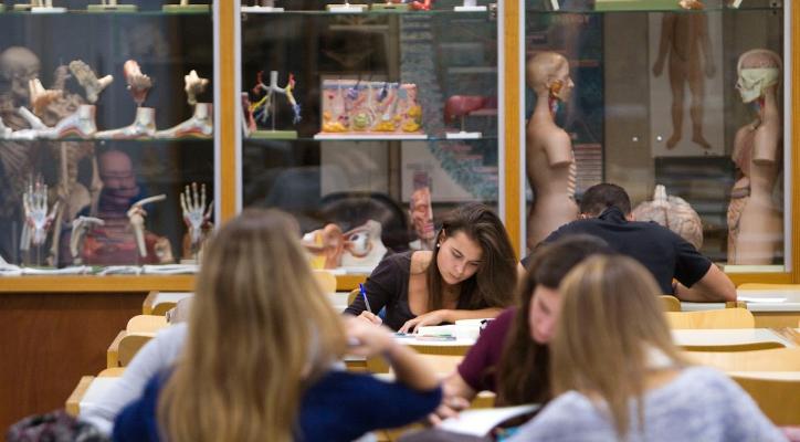 Alumnes a la biblioteca de la FCS