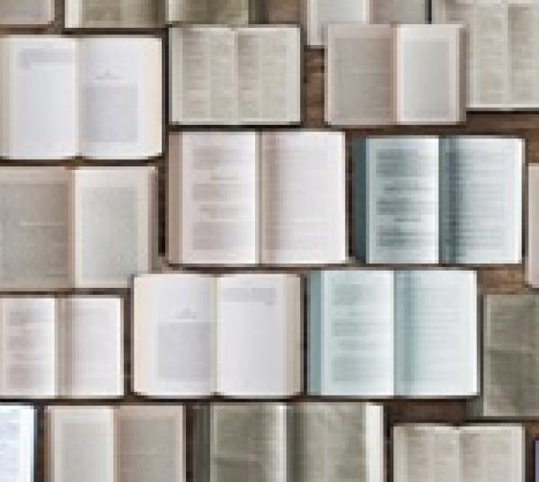 Article a Universo abierto sobre accés obert