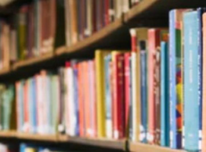 llibres prestatge
