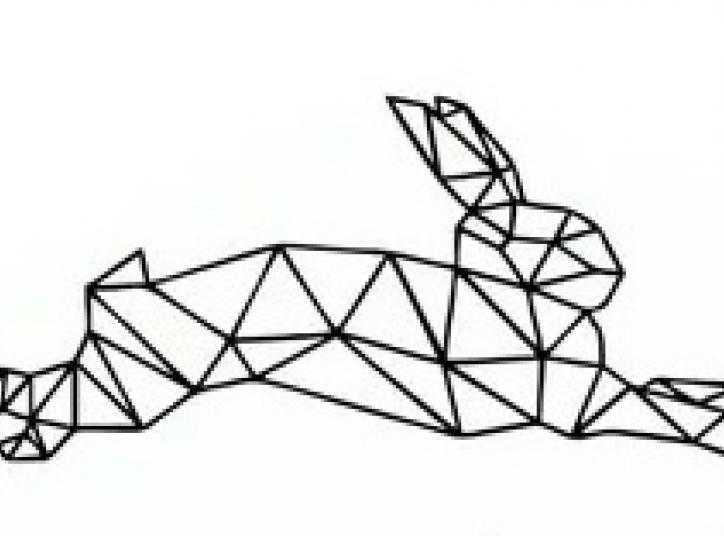 Rabbit petit