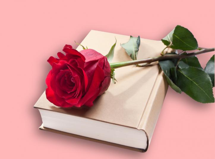 rosa i llibre