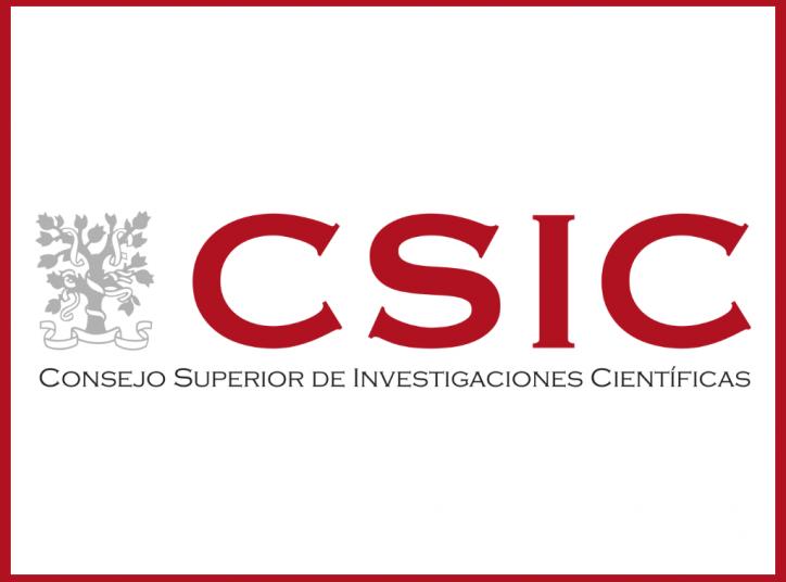 CSIC logo