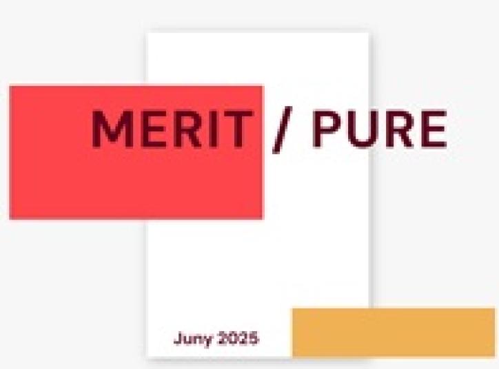 Curs Merit