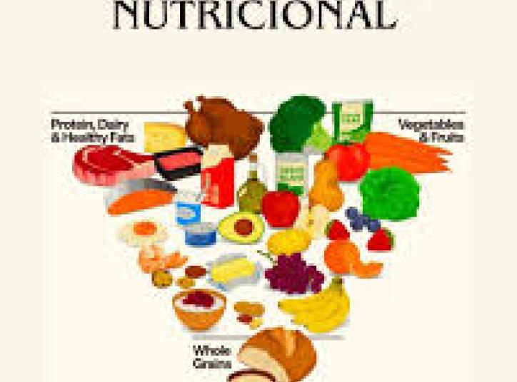 piràmide nutricional invertida