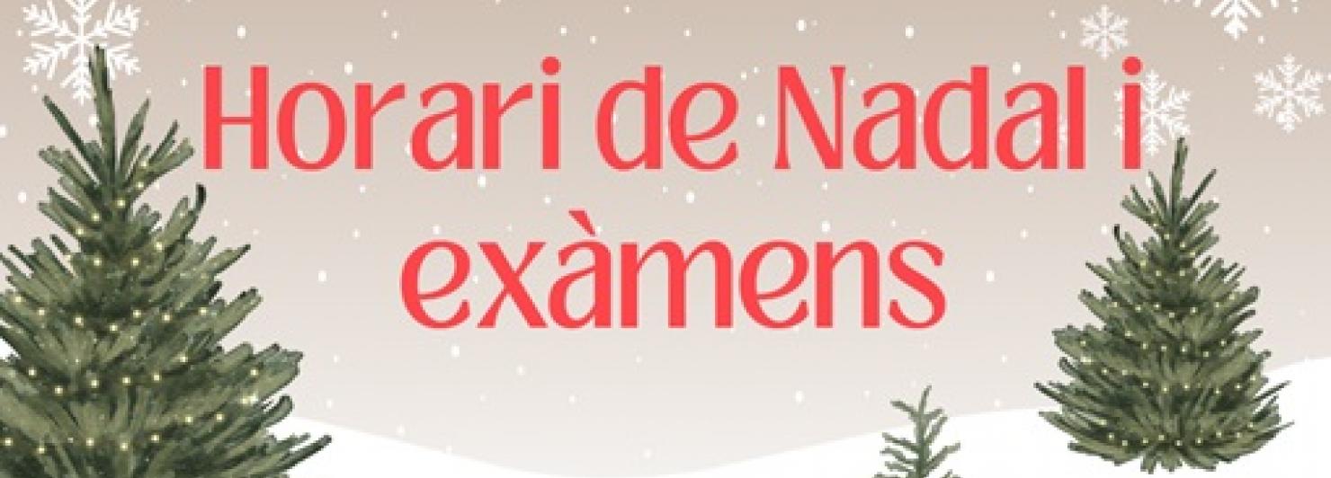 Horari Nadal i exàmens FCRI