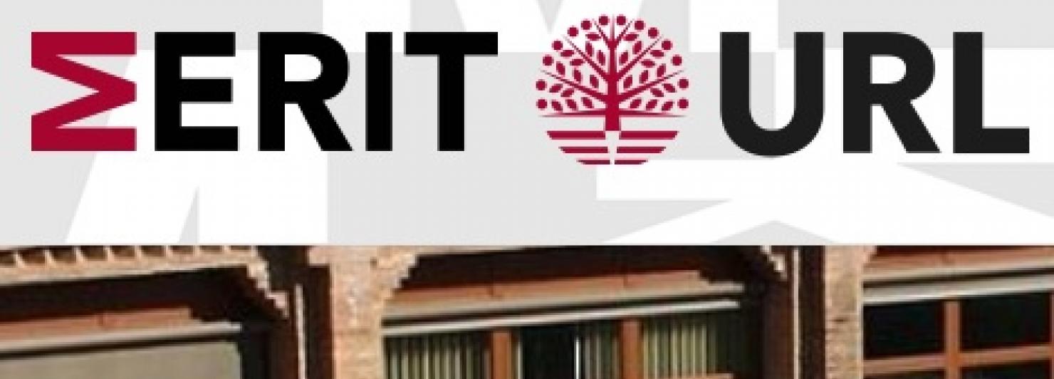 MERIT URL